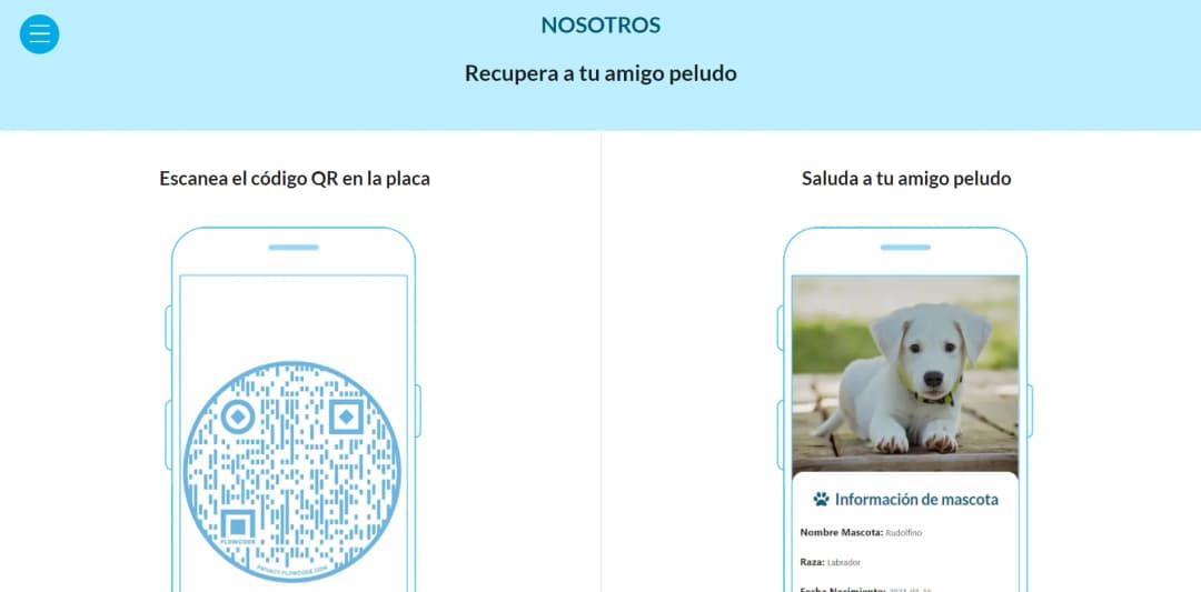 Tagmascota